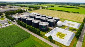 Green create wijster